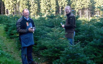 Andreas und Werner Osebold und ihre Weihnachtsbäume aus dem Sauerland - Nadelholzkulturen Osebold