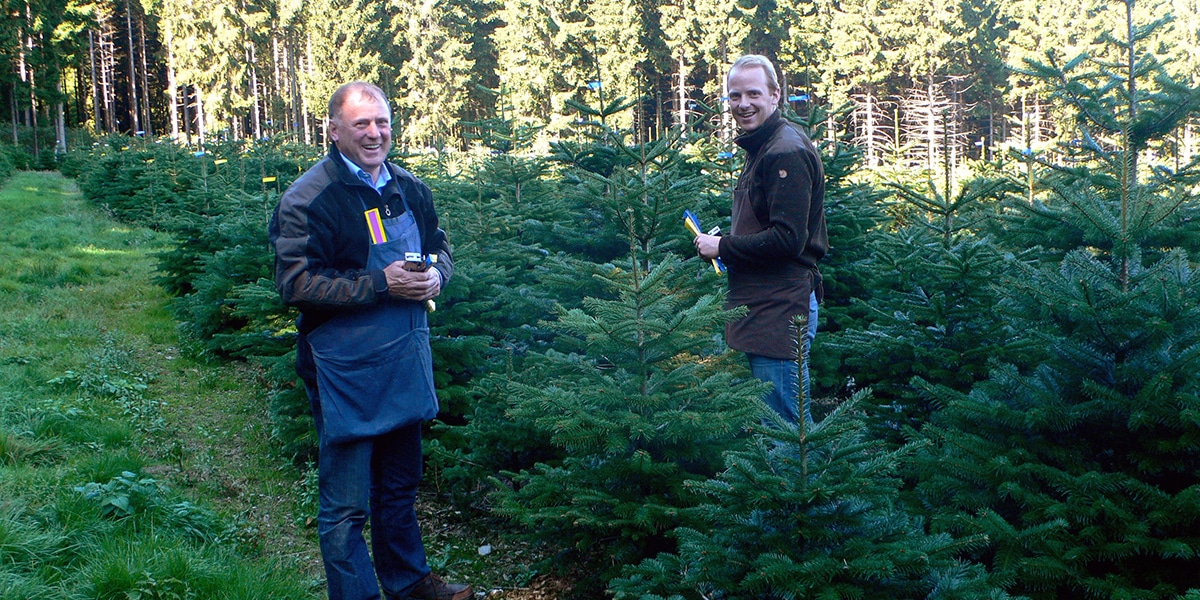 Andreas und Werner Osebold und ihre Weihnachtsbäume aus dem Sauerland - Nadelholzkulturen Osebold